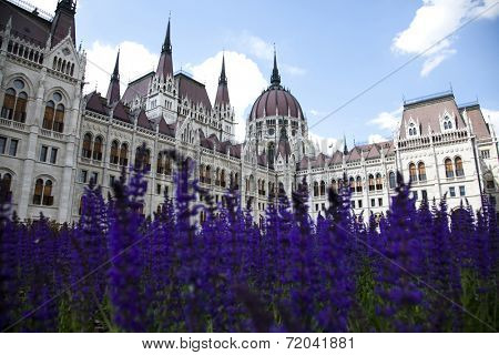 Parliament building in Budapest 