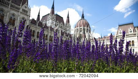 Budapest, view of parliament,Hungary 