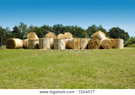 Mnoho balíků slámy