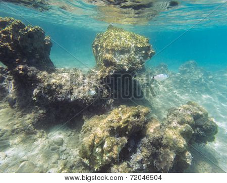 underwater world on wave background 