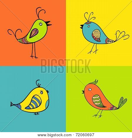 set of color birds for design