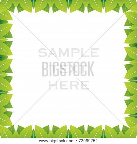 creative green leaf frame design background vector