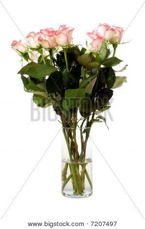 Roses dans un Vase