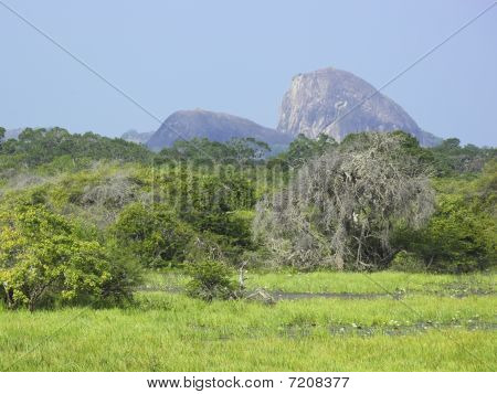 Krajobraz Yala