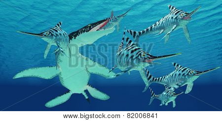Liopleurodon Attacks Eurhinosaurus