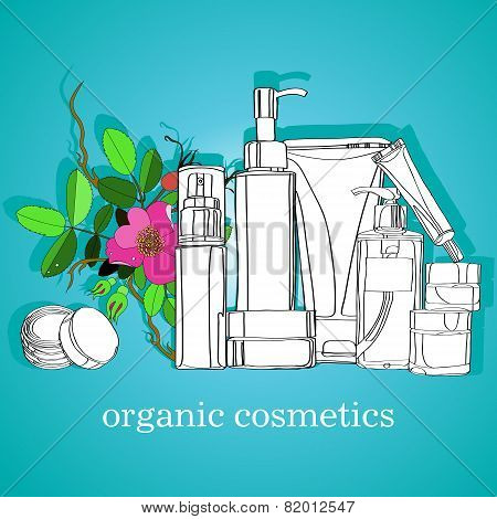 organic cosmetics