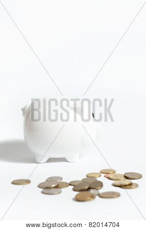 White piggy bank