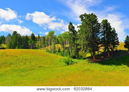 Blacktail Plateau In Yellowstone National Park, Wyoming In Summer