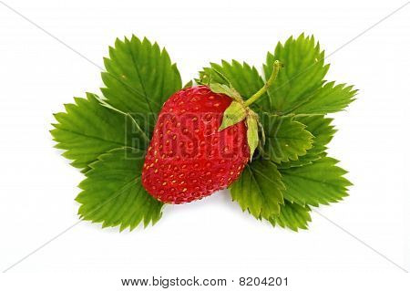 Strawberries On Green Leaves