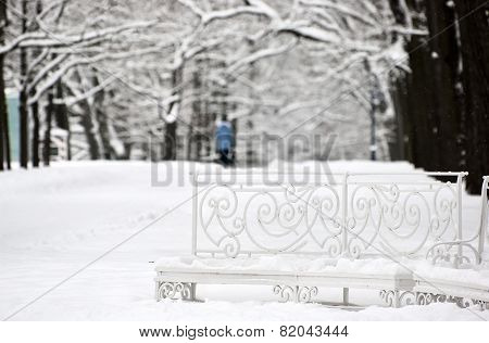 Tsarskoye Selo (Pushkin), Saint-Petersburg, Russia. The Catherine Park. Empty bench