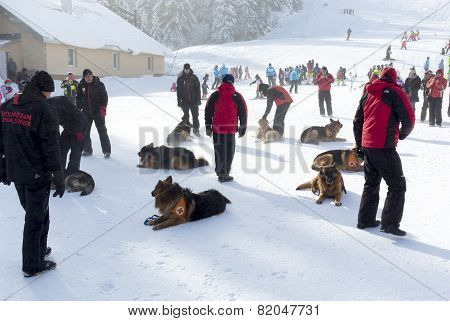 Mountain Rescue Service