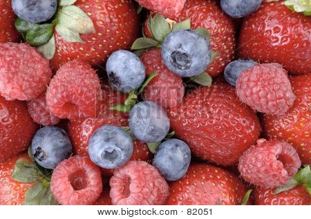 Berrylicious Berry 2