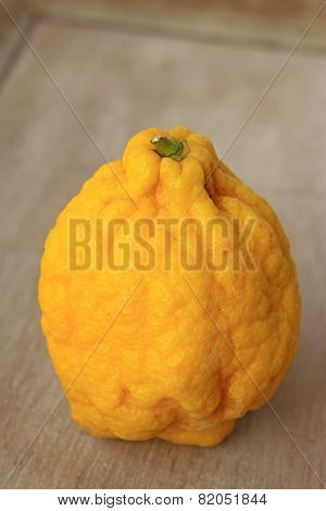Citron (Citrus medica)