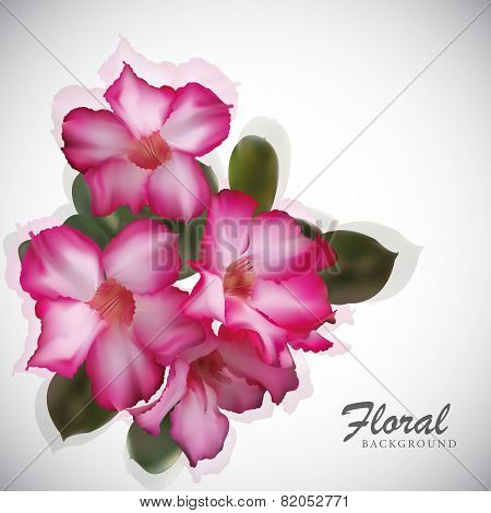 Pink Flower