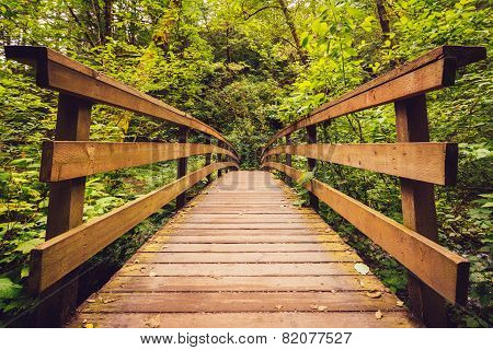 Walking Bridge in the Forest