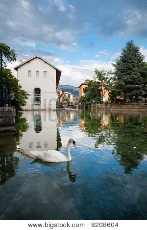 Hattyú Annecy csatorna
