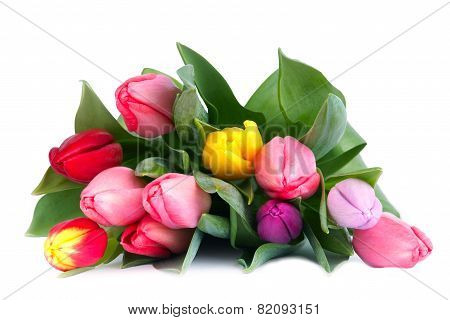 Bouquet of tulips