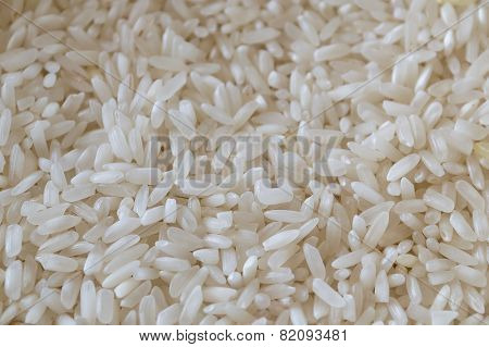 Rice Grains