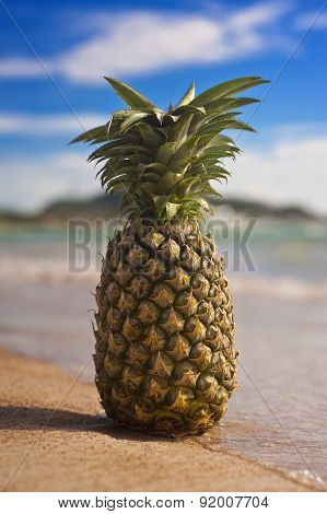 Tropical pineapple in the sea on an exotic beach.