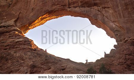 Window section