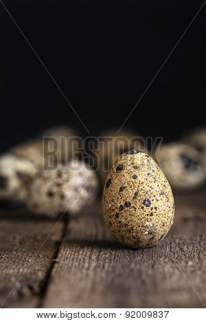Moody Natural Lighting Vintage Retro Style Image Of Quaills Eggs