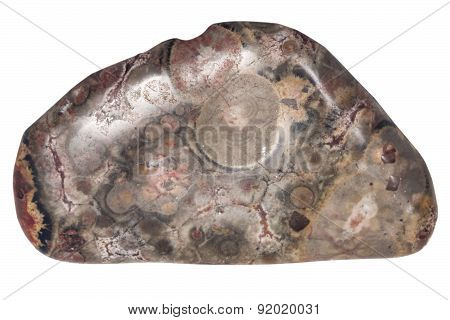Leopard Skin Jasper