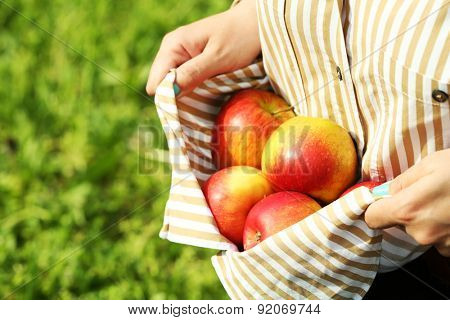 Red apple in hemline of female clothing, closeup