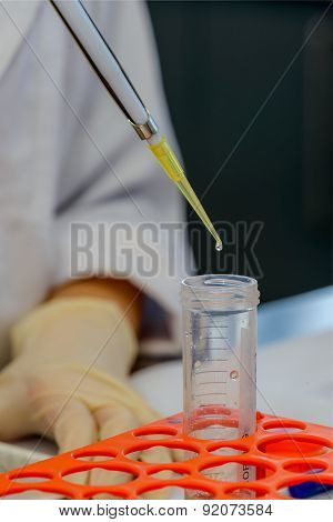 A tiny drop of liquid at tip