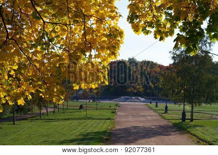 Autumn In Park