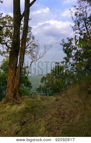 View Point