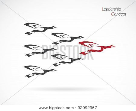 Flock Of Wild Ducks Flying, Leadership Concept