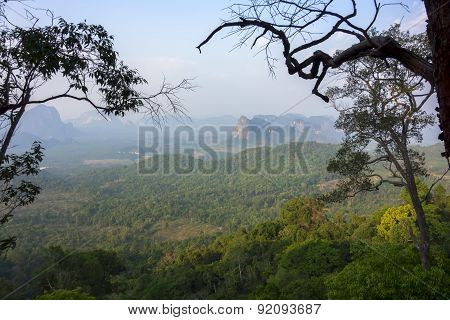 View Point.