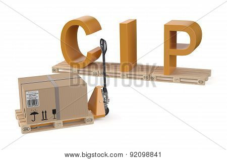 Cip Concept
