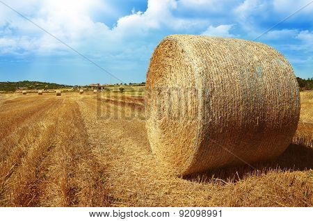 hay roll on meadow
