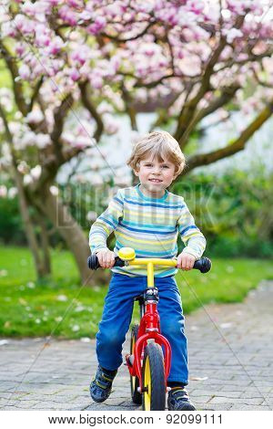Little Toddler Kid Boy Riding With His First Bike