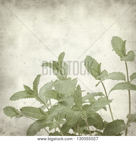 Textured Old Paper Background