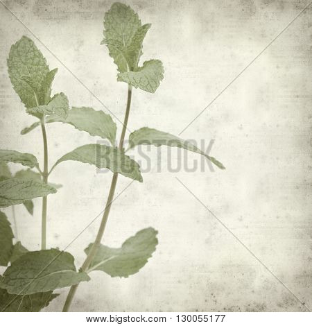 Textured Old Paper Background
