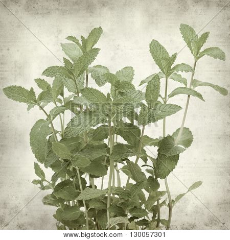 Textured Old Paper Background