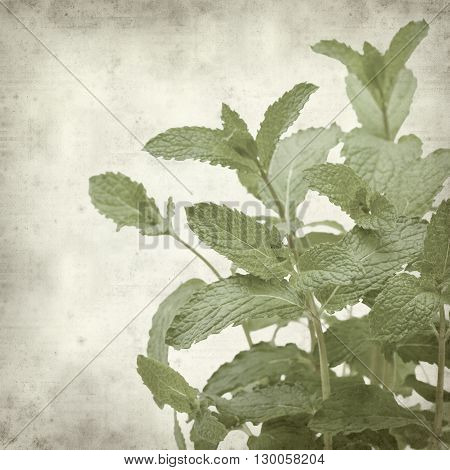 Textured Old Paper Background