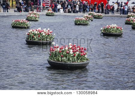 netherland, central square with sighn I love Amsterdam from water among tulip flowerbeds, lifestyle people concept
