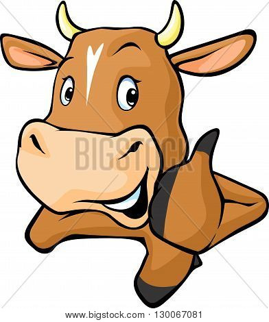 Funny cow peeks out from behind a white surface - vector cartoon illustration. Cow showing thumbs up.