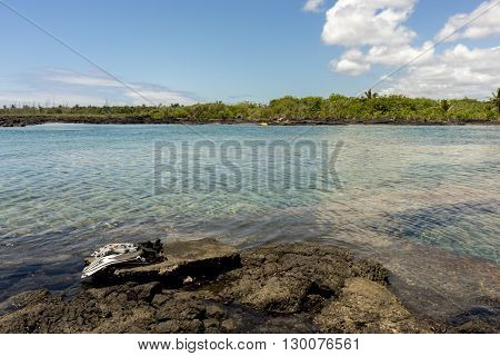 Kapoho Tide Pools
