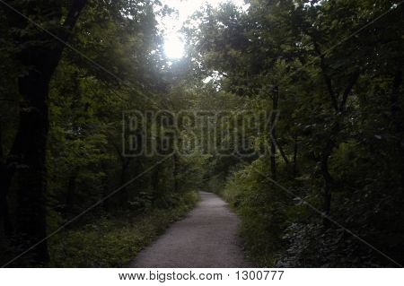 เส้นทางป่า