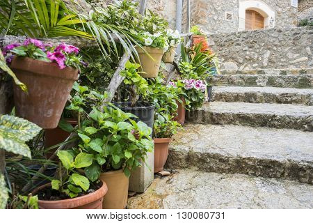 flowerpots street in the tourist island of Mallorca, Valdemosa city in Spain
