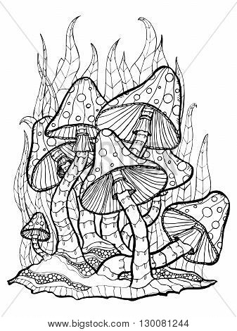 Coloring page with forest mushrooms. Isolated outline on white background