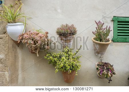 flowerpots street in the tourist island of Mallorca, Valdemosa city in Spain