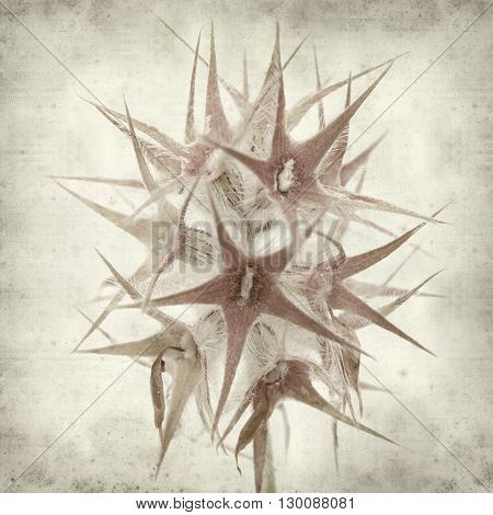 Textured Old Paper Background