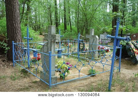 Holiday Of Remembrance Of The Dead