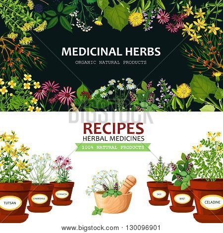 Color horizontal banners with title depicting medicinal herbs in clay mortar and recipes vector illustration