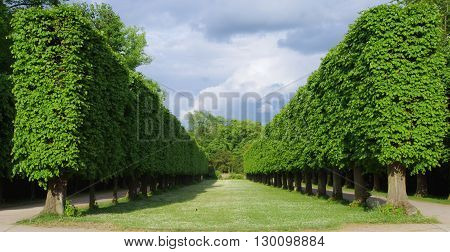 Photo of a public park in Duesseldorf, Germany